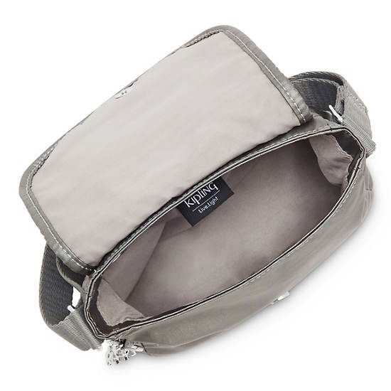 Kipling Sabian Metallic Crossbody Mini Veske Grå | NO 1868WN